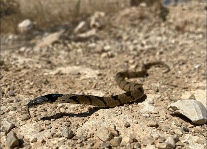 511314692_2536774410020174_4492741453910530849_n